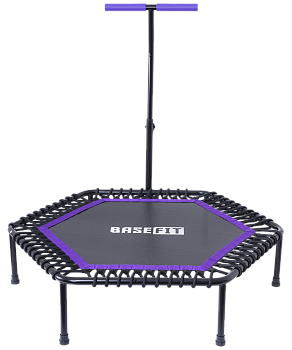 БЕЗ УПАКОВКИ Батут TR-401 101 см с держателем, фиолетовый БЕЗ УПАКОВКИ Батут TR-401 101 см с держателем, фиолетовый